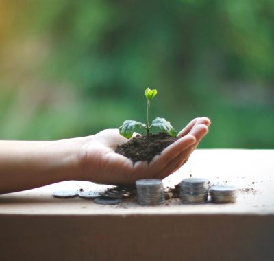 pexels-akilmazumder-5550910